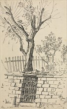 Tree on Top of a Stone Wall, Cleveland. Otto H. Bacher (American, 1856-1909).