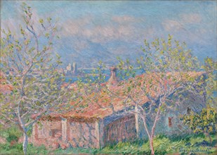 Gardener's House at Antibes, 1888. Claude Monet (French, 1840-1926). Oil on fabric; framed: 91.1 x