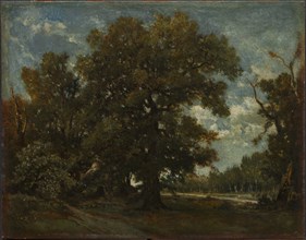The Oak Tree, 19th century. Imitator of Théodore Rousseau (French, 1812-1867). Oil on paper mounted
