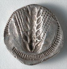 Stater: Ear of Corn incuse [stamped in] (reverse), 530-510 BC. Greece, Matapontum, 6th century BC.