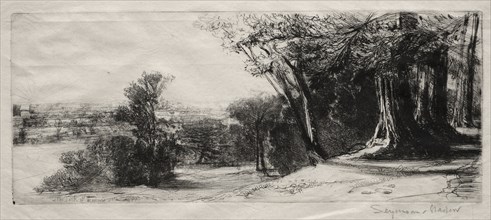 Early Morning, Richmond Park. Francis Seymour Haden (British, 1818-1910). Etching