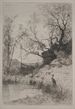 A Pond, 1867. Adolphe Appian (French, 1818-1898). Etching; secondary support: 40.5 x 32.7 cm (15