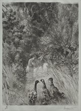 The Surprised Ducks. Félix Bracquemond (French, 1833-1914). Etching; sheet: 44.4 x 29 cm (17 1/2 x