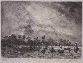 The Storm Cloud, 1878-1887. Félix Bracquemond (French, 1833-1914). Etching; sheet: 31.8 x 40.6 cm