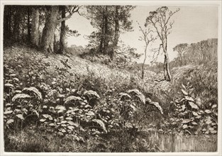 A Summer Afternoon, 1882. Elis F. Miller (American). Etching