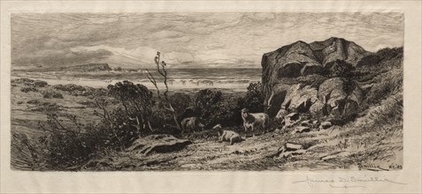 At Marblehead Neck, 1883. James David Smillie (American, 1833-1909). Etching