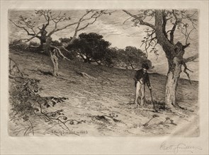 An Old New England Orchard, 1883. George Henry Smillie (American, 1840-1921). Etching