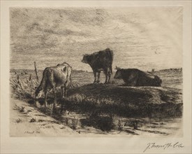 11: The Three Cows. Joseph Foxcroft Cole (American, 1837-1892). Etching