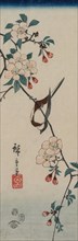 Small Bird (Swallow ?) on Cherry Branch, 1854. Ando Hiroshige (Japanese, 1797-1858). Color