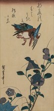 Kingfisher and Chinese Bellflowers, early or mid-1830s. Ando Hiroshige (Japanese, 1797-1858). Color
