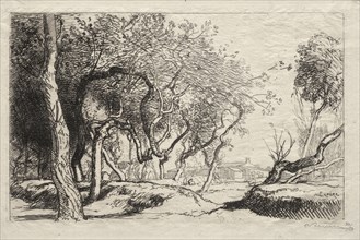 The Twisted Tree, 1915. Auguste Louis Lepère (French, 1849-1918). Etching
