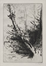 In the Woods. Alphonse Legros (French, 1837-1911). Etching