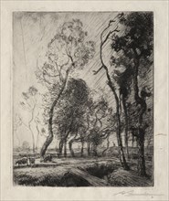Coucher de Soleil derrière les Arbres, 1909. Auguste Louis Lepère (French, 1849-1918). Etching