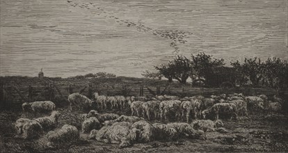 Published in l'Album de la Société des Aquafortistes, September 1862.: The Large Sheep-Fold, 1860.