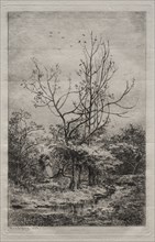 The Orchard, 1868. Charles François Daubigny (French, 1817-1878). Etching and drypoint; sheet: 35.3