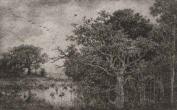 Published in "la Gazette des Beaux-Arts" on 1 March 1874: The Marsh with Storks, c. 1851. Charles