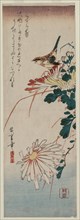 Warbler and Chrysanthemums, mid 1830s. Ando Hiroshige (Japanese, 1797-1858). Color woodblock print;