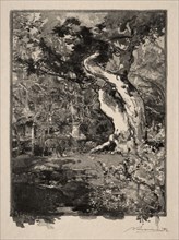 Le Clovis, Plateau de Bellecroix, 1890. Auguste Louis Lepère (French, 1849-1918). Wood engraving
