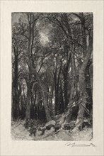 Le Bas Breau. Auguste Louis Lepère (French, 1849-1918). Wood engraving