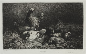 The Chickens. Charles-Émile Jacque (French, 1813-1894). Etching