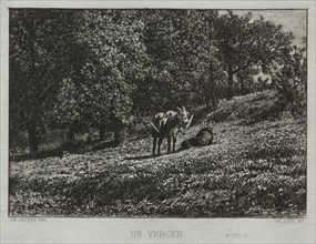 An Orchard. Charles-Émile Jacque (French, 1813-1894). Etching