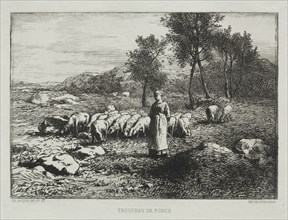 Herd of Swine, 1868. Charles-Émile Jacque (French, 1813-1894). Etching