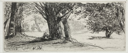 The Holly Field. Francis Seymour Haden (British, 1818-1910). Etching