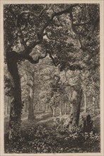 In the Woods. Adolphe Théodore Jules Martial Potémont (French, 1828-1883). Etching