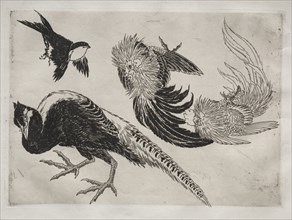 Dinner Service (Rousseau service): Pheasants and bird (no. 18), 1866. Félix Bracquemond (French,