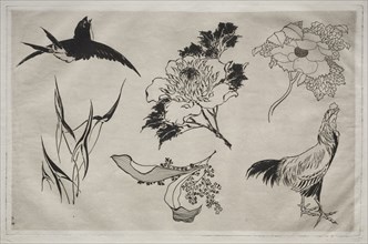 Dinner Service (Rousseau service): Swallow, Rooster and Flowers (no. 8), 1866. Félix Bracquemond
