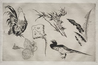 Dinner Service (Rousseau service): Roosters, skate, plants, etc. (no. 9), 1866. Félix Bracquemond