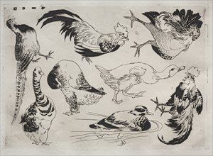 Dinner Service (Rousseau service): Roosters, ducks, etc. (no. 13), 1866. Félix Bracquemond (French,