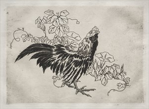Dinner Service (Rousseau service): Rooster and morning glories (no. 25), 1866. Félix Bracquemond