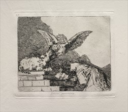 The Horrors of War:  Feline Pantomime. Francisco de Goya (Spanish, 1746-1828). Etching