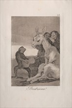 Caprichos:  Bravo!. Francisco de Goya (Spanish, 1746-1828). Etching and aquatint