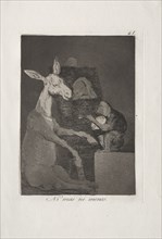 Caprichos:  Neither More Nor Less. Francisco de Goya (Spanish, 1746-1828). Etching and aquatint