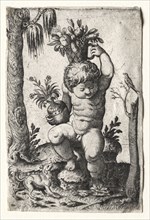 Boy with Fruit Basket, 1500s or 1600s. Italy, 16th or 17th century. Engraving