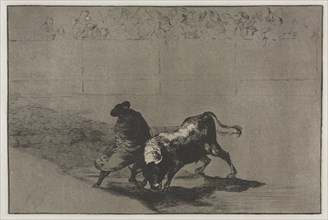 Bullfights:  The Very Skilful Student of Falces, Wrapped in his Cape, Tricks the Bull with the Play