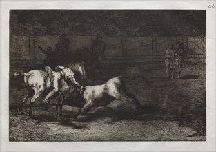 Bullfights:  Mariano Ceballos, Alias the Indian, Kills the Bull From his Horse, 1876. Francisco de