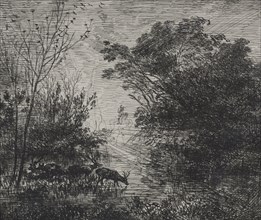 The Deer, 1862. Charles François Daubigny (French, 1817-1878). Cliché-verre plate; plate: 17.6 x 21