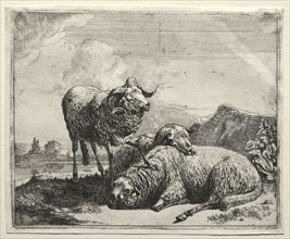 Ram and Two Sheep, 1665. Johann Heinrich Roos (German, 1631-1685). Etching