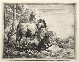 Goat with Bell, 1665. Johann Heinrich Roos (German, 1631-1685). Etching