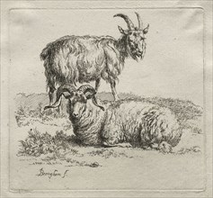 Ram and Goat. Nicolaes Berchem (Dutch, 1620-1683). Etching