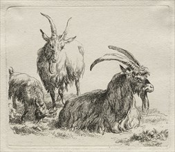 Three Goats. Nicolaes Berchem (Dutch, 1620-1683). Etching