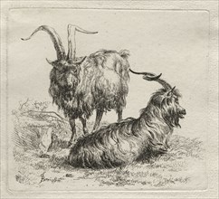 Two Goats. Nicolaes Berchem (Dutch, 1620-1683). Etching