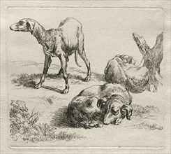 Three Hunting Dogs. Nicolaes Berchem (Dutch, 1620-1683). Etching