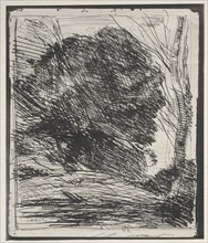 Trees on the Mountain, original impression 1856, printed in 1921. Jean Baptiste Camille Corot