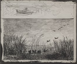 Swamp with Ducks, original impression 1862, printed in 1921. Charles François Daubigny (French,