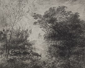 Stags, original impression 1862, printed in 1921. Charles François Daubigny (French, 1817-1878).
