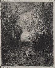 A Stream in a Glade, original impression 1862, printed in 1921. Charles François Daubigny (French,